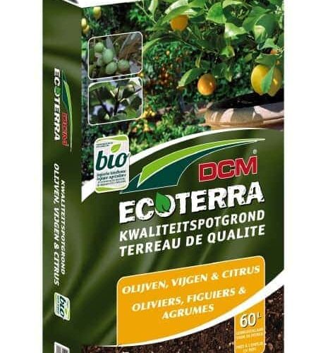 Mediterrane aanplantgrond | Olijven, vijgen en citrus