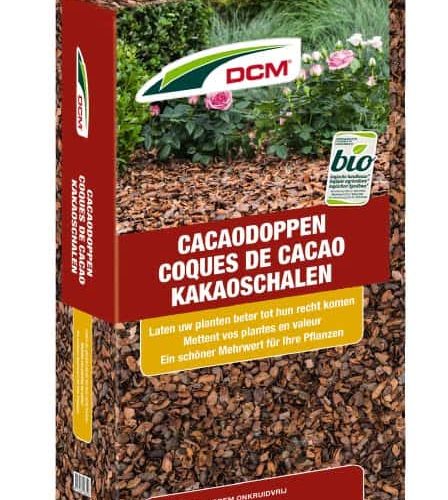 Cacaodoppen