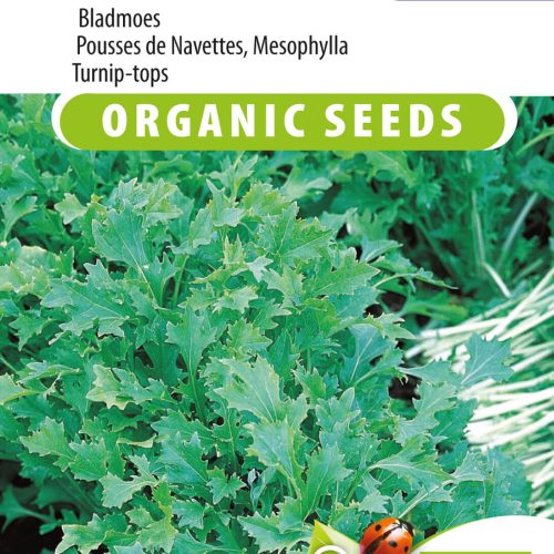 Bladmoes Namenia