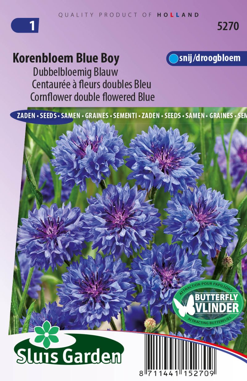 Korenbloem Blue Boy, dubbelbloemig