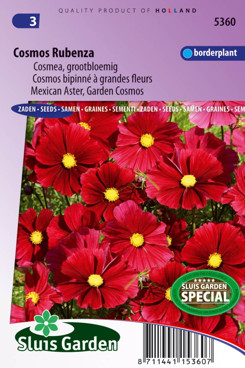 Cosmos Rubenza Fleuroselect Novelty