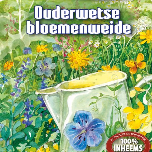 Ouderwetse Bloemenweide