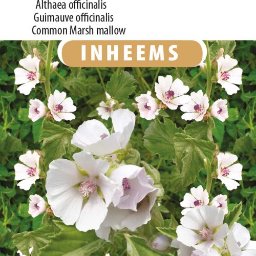Heemst