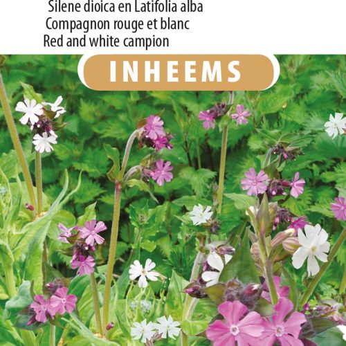 Dag- en avondkoekoeksbloem