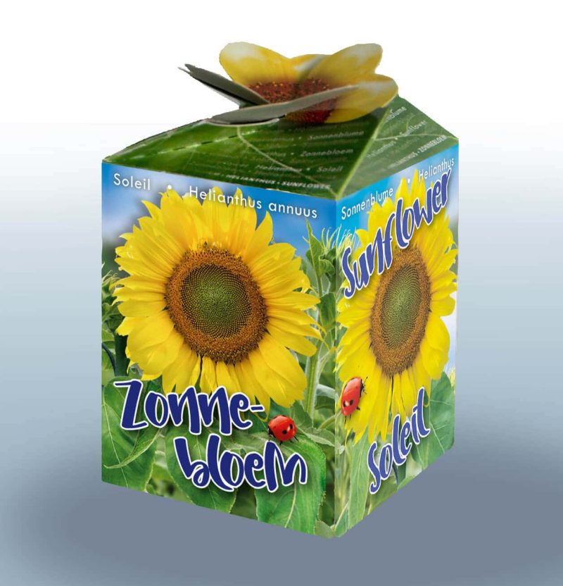 Greengift los doosje, Zonnebloem