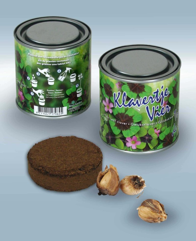 Boeketje in blik Klavertje Vier
