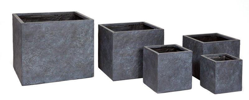 Arizona Cubi Graphite