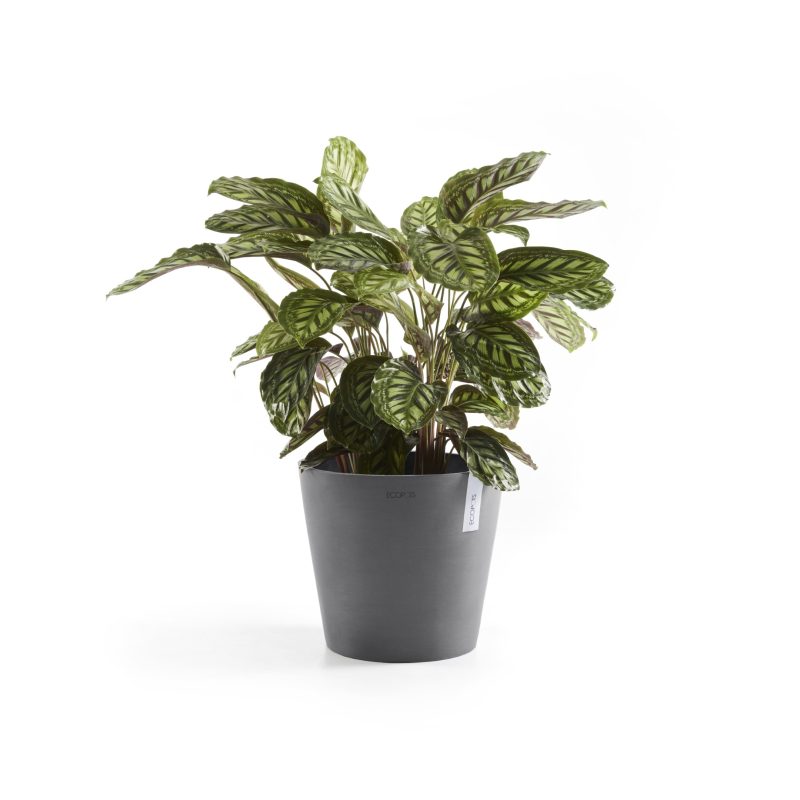 Ecopots Amsterdam Grijs