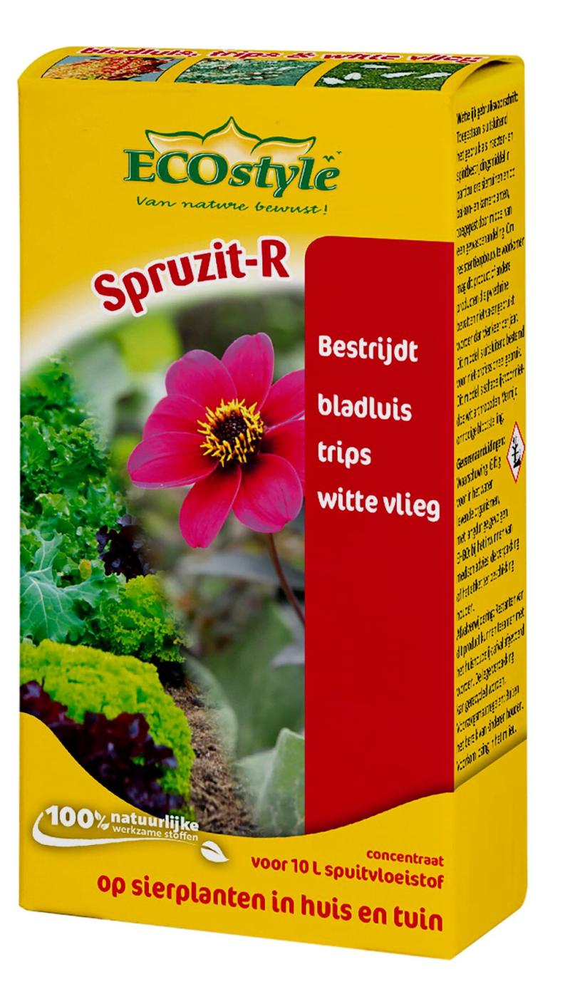 ECOstyle Spruzit-R  concentraat