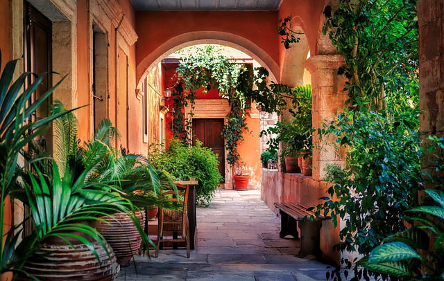 Mediterrane planten