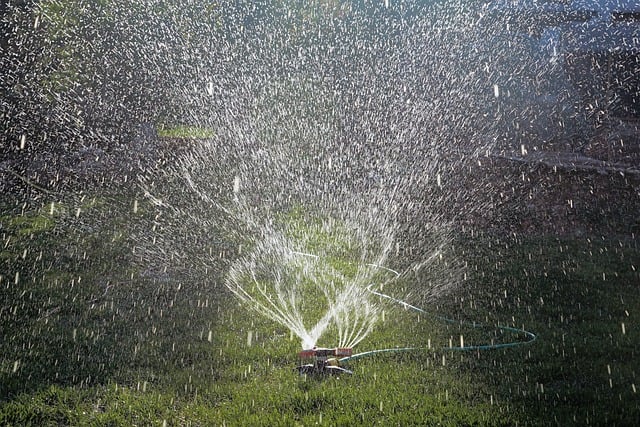 Gazon water geven met een sprinkler