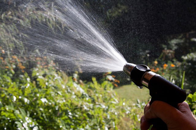 Planten water geven met een sproeier